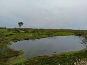 Terreno, Aldeacentenera