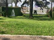 Terreno Aldeia da Serra Mor. Pássaros