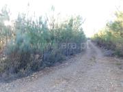 Terreno, Aldeia de São Francisco de Assis, Covilhã | BPI...