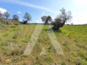 Terreno, Alenquer Santo Estêvão e Triana, Alenquer | BPI...