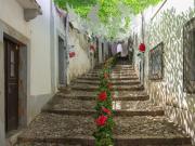 Terreno, Alenquer Santo Estêvão e Triana, Alenquer | BPI...