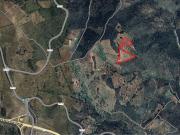 Terreno, Alfândega da Fé