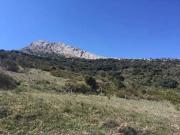 Terreno, Alfarnatejo