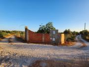 Terreno, Algoz e Tunes