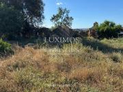 Terreno, Algoz e Tunes