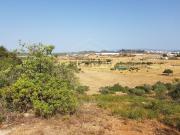 Terreno, Algoz e Tunes