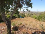 Terreno, Algoz e Tunes