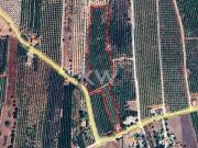 Terreno, Algoz e Tunes, Silves | BPI Expresso Imobiliário