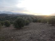 Terreno, Alhama de Granada