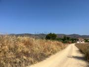 Terreno, Alhama de Murcia