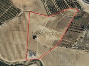 Terreno, Alhaurín de la Torre