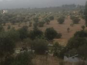 Terreno, Alhaurín el Grande