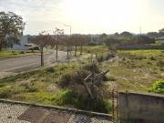 Terreno, Alhos Vedros, Moita