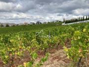 Terreno, Alijó, Alijó | BPI Expresso Imobiliário