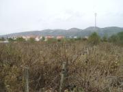 Terreno, Aljubarrota