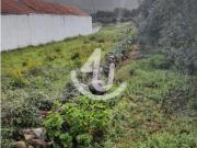 Terreno, Aljubarrota, Alcobaça | BPI Expresso Imobiliário