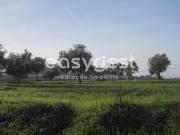 Terreno, Aljustrel e Rio de Moinhos, Aljustrel | BPI...