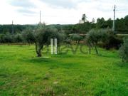Terreno, Almaceda, Castelo Branco | BPI Expresso Imobiliário