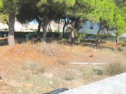 Terreno, Almancil, Loulé | BPI Expresso Imobiliário