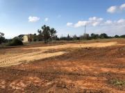 Terreno, Almancil, Loulé | BPI Expresso Imobiliário