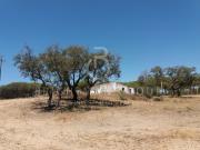 Terreno, Almancil, Loulé | BPI Expresso Imobiliário