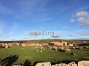 Terreno, Almaraz de Duero