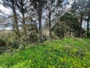 Terreno, Almargem Do Bispo, Pêro Pinheiro e Montelavar,...