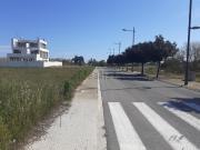 Terreno, Almazora/Almassora