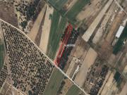 Terreno, Almeirim, Almeirim | BPI Expresso Imobiliário