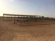 Terreno, Almendralejo