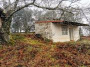 Terreno, Almonaster la Real