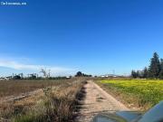 Terreno Almoradí Partida el Gabato 11.636 m2 Cerca...