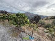 Terreno, Almuñécar