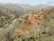 Terreno, Almuñécar