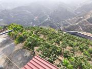 Terreno, Almuñécar