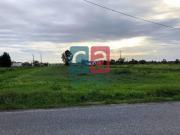 Terreno, Alpiarça, Alpiarça | BPI Expresso Imobiliário