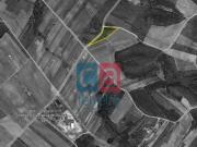 Terreno, Alpiarça, Alpiarça | BPI Expresso Imobiliário