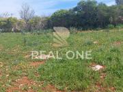 Terreno, Alte, Loulé | BPI Expresso Imobiliário