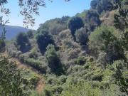 Terreno, Alto de los Monteros, Marbella