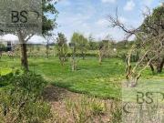 Terreno Altozano el Nuevo Queretaro