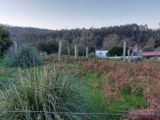 Terreno, Alvarelhos e Guidões