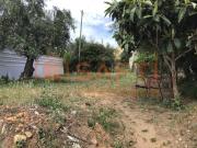 Terreno, Alvega e Concavada, Abrantes | BPI Expresso...