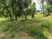 Terreno, Alvito e Couto