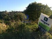 Terreno na Laranjeira de Alvorninha