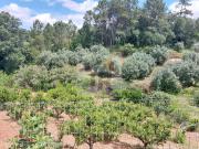 Terreno, Alvorninha, Caldas da Rainha | BPI Expresso...