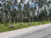 Terreno, Alvorninha, Caldas da Rainha | BPI Expresso...