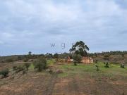 Terreno, Amieira e Alqueva, Portel | BPI Expresso...