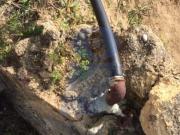 Terreno, Amoreira Da Gândara, Paredes Do Bairro e Ancas,...