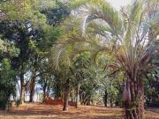 Terreno amplo de 1.313 m2 para construção comercial ou...