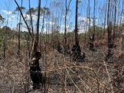 Terreno amplo em Ibiúna – ideal pra chácara ou casa de...